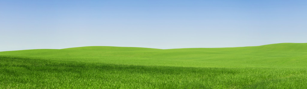 panoramic view of an empty green field with copy space